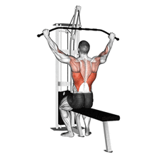 Cable Lat Pulldown GIF